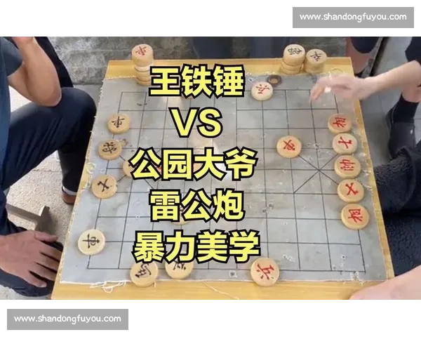 雷公与散打巅峰对决引发格斗界热议与技术流派全面解析与力量美学碰撞